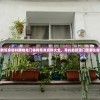 澳门新管家婆料客栈龙门客栈精准资料大全，寻找最新澳门旅游住宿信息