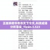 正版真精华布衣天下今天,科技成语分析落实_Tizen.3.523