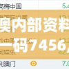新澳内部资料精准一码7456,探索未来无限可能_灵活版.3.575