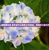 (少年豪纵,袍锦团花凤 这句话什么意思)少年豪纵，青春的力量与无畏的精神