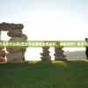 (塔防西游记攻略 神将)塔防西游记全面攻略及常见问答解析