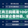 澳门三肖三码精准1OO%，打造专业玩家必备神器，稳赚不赔的好方法!