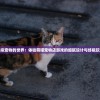 (万物之上什么意思)万物之上觉醒官方，深度探索与前瞻分析