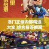澳门正版内部精选大全,综合解答解释落实_游戏版VIPv.7.731