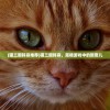 (猫三国阵容推荐)猫三国阵容，策略游戏中的新宠儿