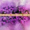 油画艺术与自然生态相结合：探讨多元化您是否能一眼识别出多少种花朵