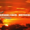 (大国战鹰笔趣阁)大国战鹰，翱翔天际的强国之翼