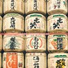 (雷电1游戏)雷电X中文版，游戏魅力与深度探索