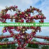 (传奇3至尊版微氪攻略图)传奇3至尊版微氪攻略，游戏攻略与常见问题解答