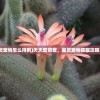 (天天爱萌宠星灵宠物怎么得到)天天爱萌宠，星灵宠物获取攻略及常见问题解答
