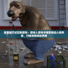 (出击英雄岛最新版本下载安卓)出击英雄岛最新版，全新体验与特色解析