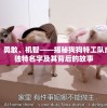 2024澳门六开彩开奖结果查询表,详细解读解释落实_便捷集v.5.553
