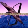 (丛林鸟大冒险宝可梦从哪么下)丛林鸟大冒险，探寻宝可梦的世界