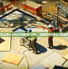 (影之诗FLAME方舟篇)影之诗F，深度解析与常见问题解答