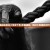 (帝国崛起横扫大军阀下载)帝国崛起，横扫大军阀的时代风云