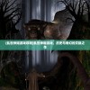 (乱世神姬游戏攻略)乱世神姬游戏，历史与奇幻的交融之作