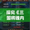 2004新澳门天天开好彩大全7456：一场盛宴，让您揭开财富之门