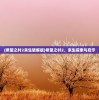(希望之村2来生破解版)希望之村2，来生探索与启示