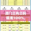 澳门三肖三码精准1OO%,详细解读解释落实_管家婆.0.613