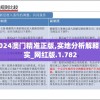 2024澳门精准正版,实地分析解释落实_网红版.1.782