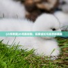(小鸡奔跑)小鸡跑呀跑，探索成长与自然的奥秘