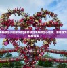 (王者守卫传奇微信小程序下载)王者守卫传奇微信小程序，游戏魅力与玩家互动体验探索