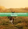 (2021年愤怒的黄牛国语版在线观看)愤怒黄牛普通话版高清免费，电影的新视角与观众需求