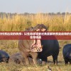 探寻原始时代熊出没的秩序：以生态环境变迁角度解析熊类动物的生活习性与生存挑战