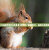 (贪吃的小松鼠作文350字免费)贪吃的小松鼠作文，森林中的美食探险家