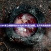 (farlight 84末日余晖开挂)Farlight 84末日余晖，生存与挑战的游戏新纪元