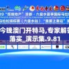2024今晚澳门开特马,专家解答解释落实_演示集.9.81