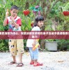 (河狸官网)河狸计划停运深度解析，原因与未来展望