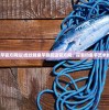 (龙纹鲤鱼竿官方网站)龙纹鲤鱼竿旗舰店官方网，探索钓鱼竿艺术的极致体验