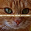 (猫和汤52pk)猫咪和汤攻略，玩转游戏，成为真正的养猫达人