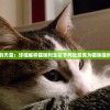 (神之猎场手游下载)神之猎场，兽类挑战攻略详解