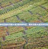 (魔兽放置卡牌手游)卡牌放置魔兽类魔法军团，策略与战术的完美结合