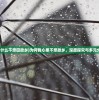 (为什么不想回故乡)为何我心里不想故乡，深度探究与多元分析