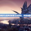 (堕落前线国际服下载安装)堕落前线国际服，游戏探索与常见问题解答