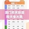 (全民奇迹2卓越一击和追击)全民奇迹2卓越一击，揭秘游戏内外的独特魅力