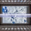 (萌宠快跑)萌宠时代的速度与激情，速度与萌宠的交融之美