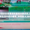 (三国萌将传手游官网)三国萌将传手游，策略与魅力的完美结合