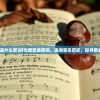 (电脑报纸质版订阅)电脑报订阅刊号，探索数字时代的资讯获取方式
