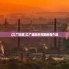 (工厂起源)工厂崛起的完整剧情介绍