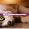 (喵星人联盟)喵星联盟关闭的最新消息及其影响分析