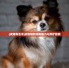 (王者守卫者下载)荣耀守卫者为何下架，深度探究原因与解析