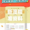 新澳精准资料大全管家婆,探索城市发展新机遇_KP.0.496