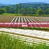 (模拟农场22无限金币版下载)模拟农场22，全新农业体验的深度解析与常见问题解答