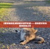 (猫咪确解版)猫咪解忧铺手机版——宠物爱好者的精神慰藉之所