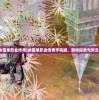 (手机版冰雪单职业传奇)冰雪单职业传奇手机版，游戏探索与常见问题解答