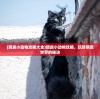 (调皮小动物攻略大全)调皮小动物攻略，玩转萌宠世界的秘诀